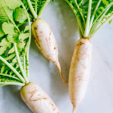 Насіння дайкона «Дракон»