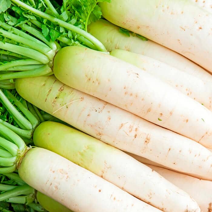 Насіння дайкона «Ікло слона»