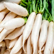 Насіння дайкона «Японський білий»