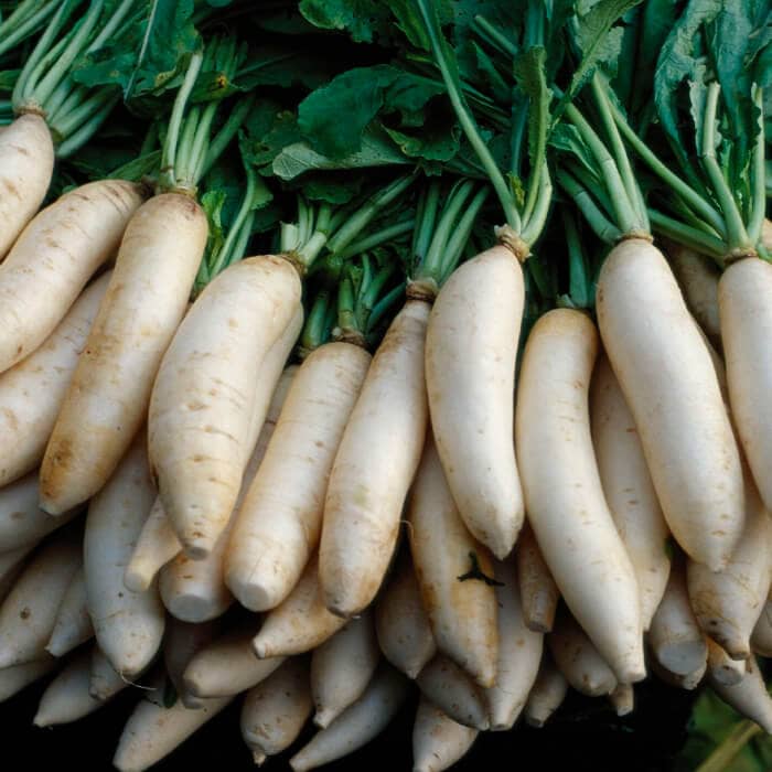 Насіння дайкона «Японський білий»