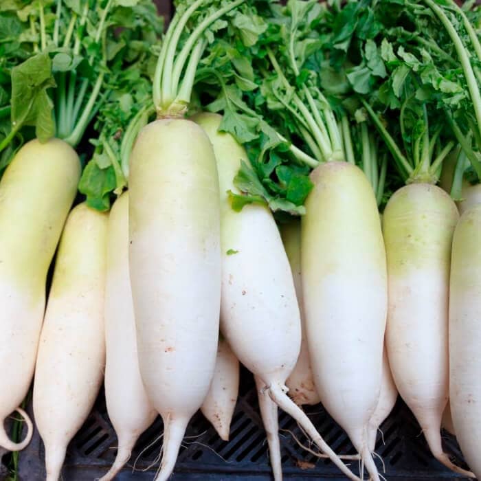 Насіння дайкона «Японський білий»