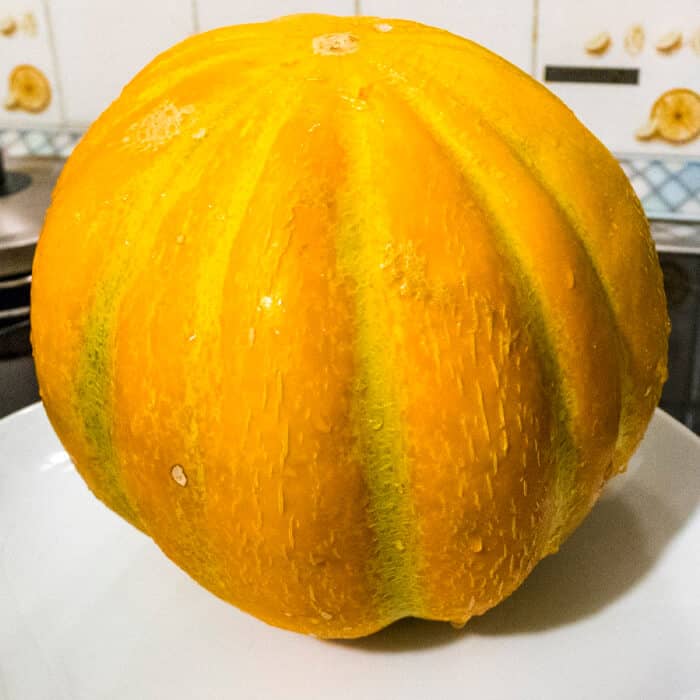 Насіння дині «Ефіопка»