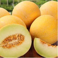 Насіння дині «Тітовка» 1 г