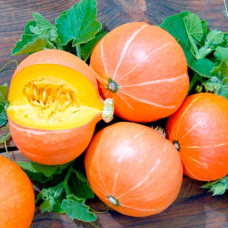 Насіння гарбуза «Амазонка»