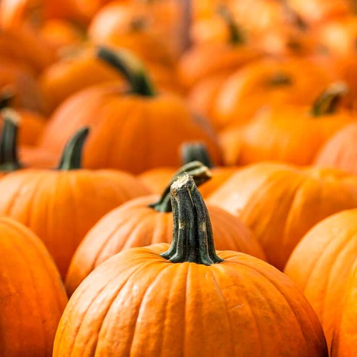 Насіння гарбуза «Амазонка»