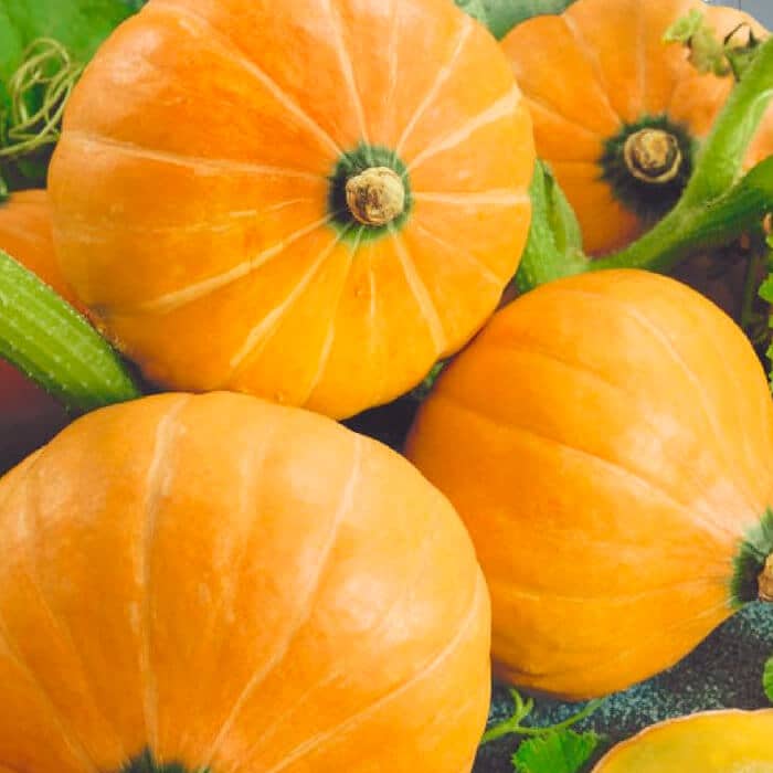 Насіння гарбуза «Амазонка»