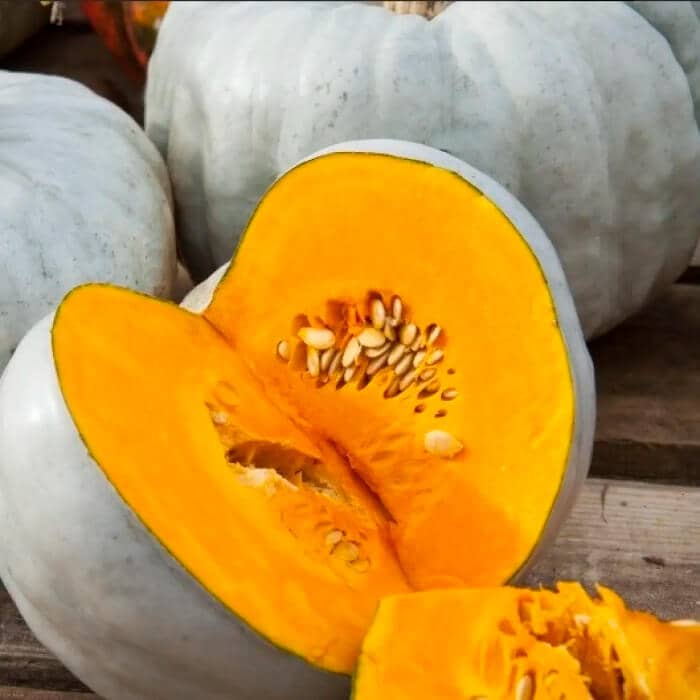 Насіння гарбуза «Волзький сірий»