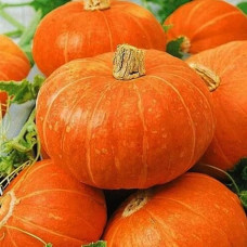 Насіння середньостиглого гарбуза «Цукерка» 5 шт