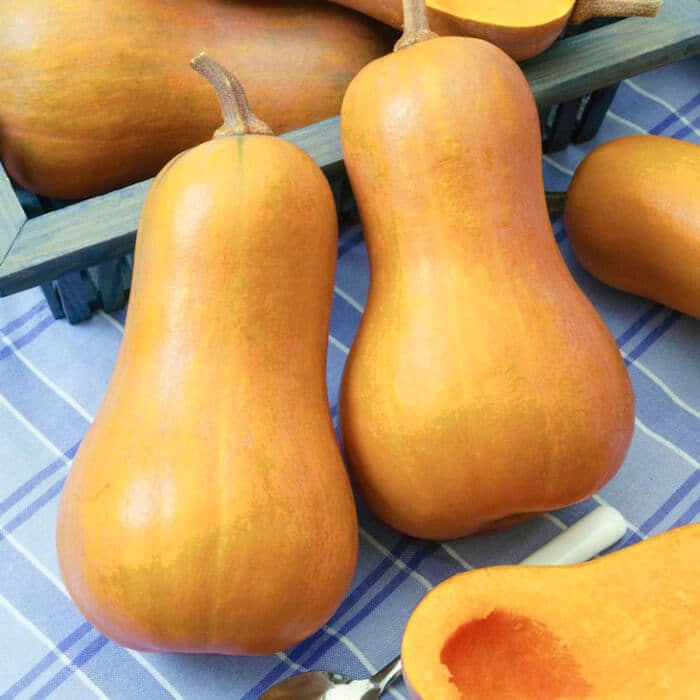 Насіння середньостиглого гарбуза «Ананасний F1» 10 г