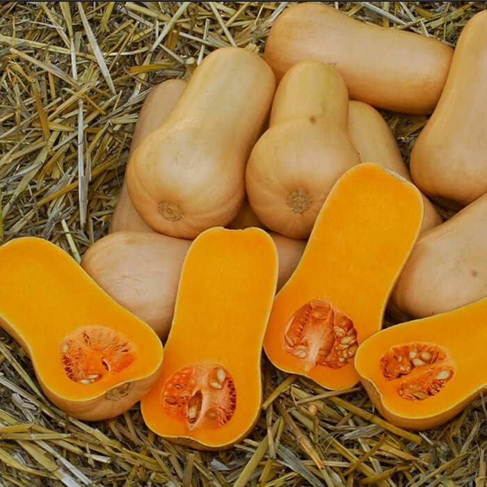 Насіння середньостиглого гарбуза «Ананасний F1» 10 г