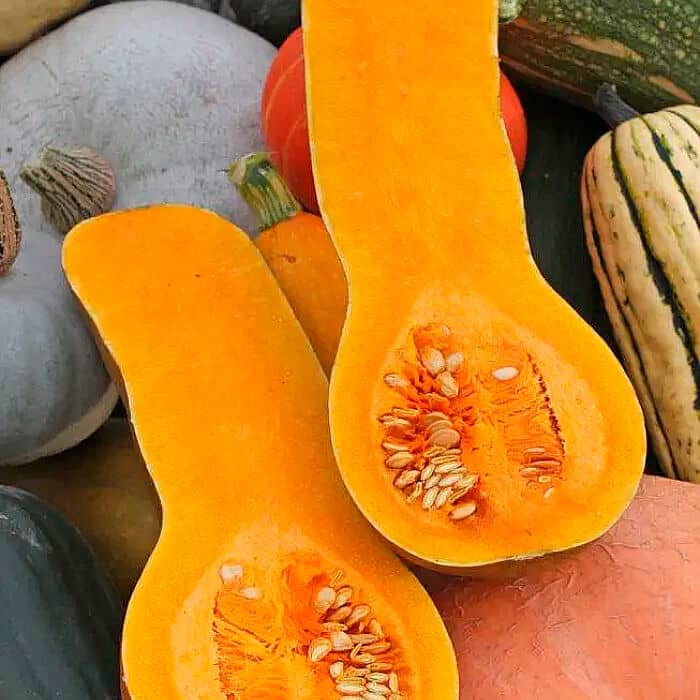 Насіння середньостиглого гарбуза «Ананасний F1» 10 г