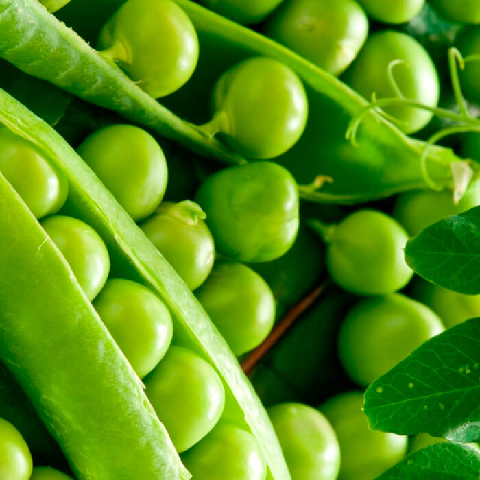 Насіння гороху «Енеміум»