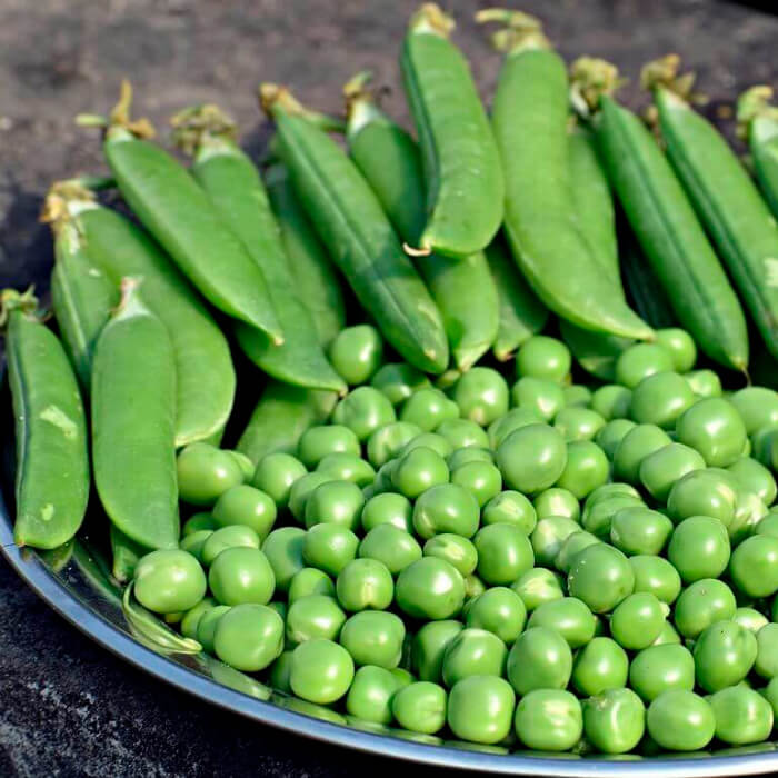 Насіння гороху «Джокер»