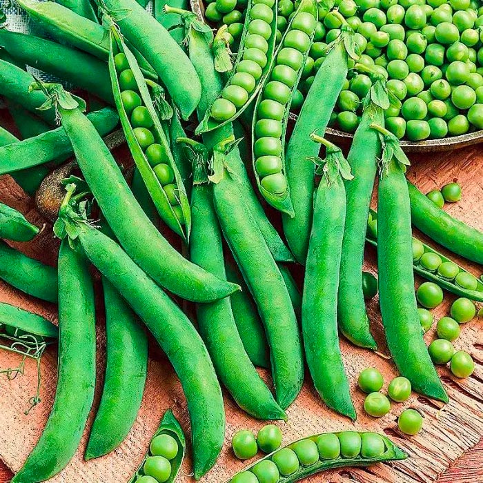 Насіння ранньостиглого гороху «6 тижнів» 10 г