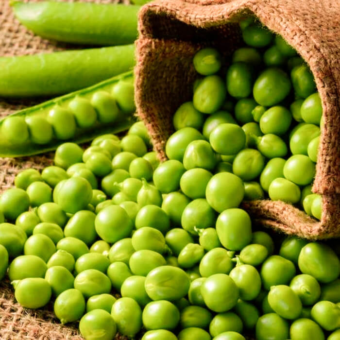 Насіння гороху «Фаворит»