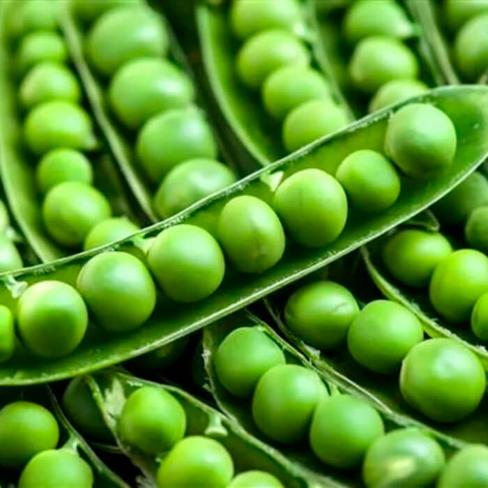 Насіння гороху «Фаворит»