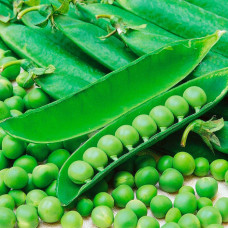 Насіння ранньостиглого гороху «Цукровий» 10 г