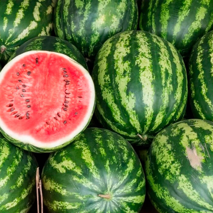 Насіння кавуна «Троянда південного сходу»