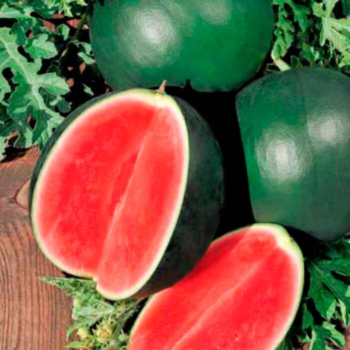 Насіння кавуна «Вогник»