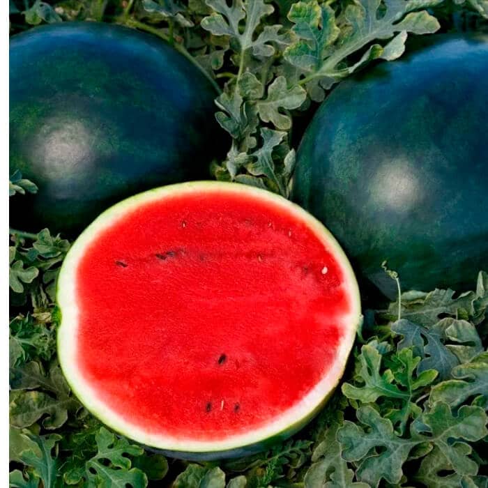 Насіння кавуна «Вогник»