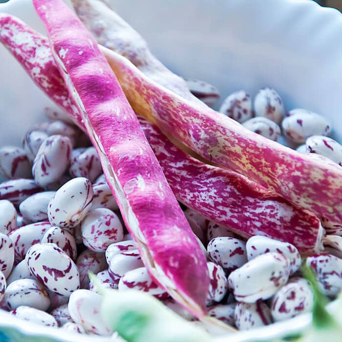 Насіння квасолі спаржевої «Борлотто» 15 г