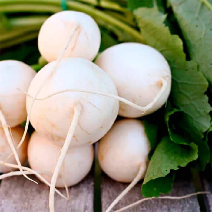 Насіння ріпи «Бiла нiч»