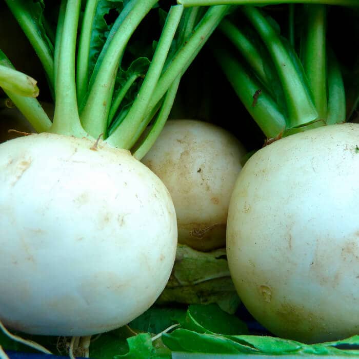 Насіння ріпи «Бiла нiч»