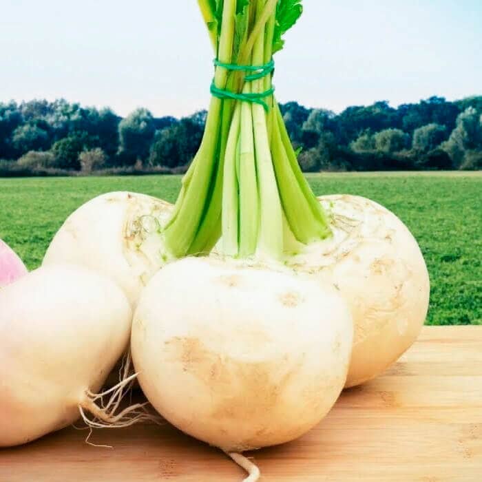 Насіння ріпи «Бiла нiч»