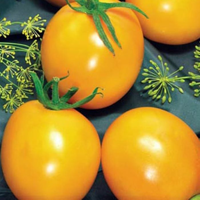 Насіння пізньостиглого томата «Де-барао» золотий 0,1 г