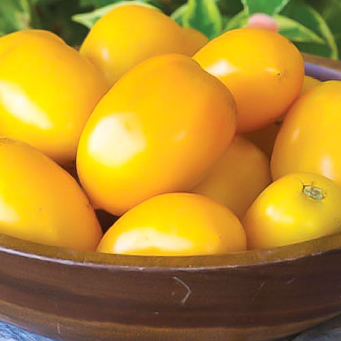 Насіння пізньостиглого томата «Де-барао» золотий 0,1 г