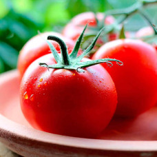 Насіння томата «Кристал»