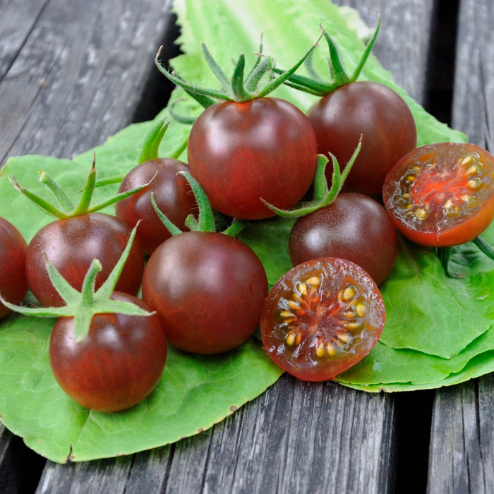 Насіння ранньостиглого томата «Блек черрі» 20 шт