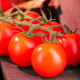 Насіння ранньостиглого томата «Вишневий коктейль» 0,1 г