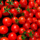 Насіння ранньостиглого томата «Вишневий коктейль» 0,1 г