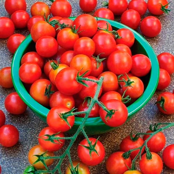 Насіння ранньостиглого томата «Вишневий коктейль» 0,1 г