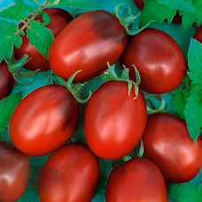 Насіння середньостиглого томата «Де-Барао» чорний 0,1 г