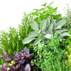 Смесь семян пряных трав «Кухонные травы» 20 г