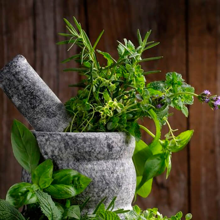 Суміш насіння пряних трав «Середземноморські трави» 5 г