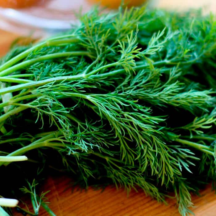 Насіння кропу «Асторія»