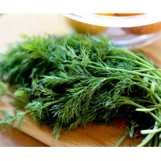 Насіння пізньостиглого кропу «Алігатор» 