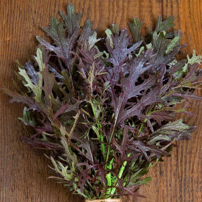 Насіння мізуни «Червона»