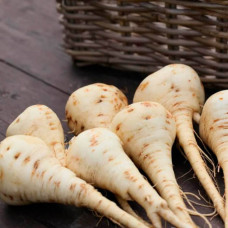 Насіння пастернака «Альбіон»