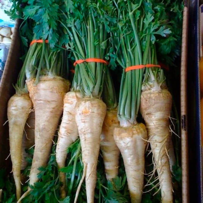 Насіння ранньостиглої петрушки «Цукрова» 