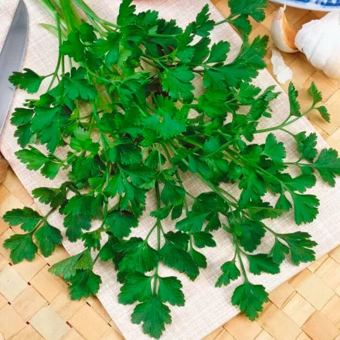 Насіння петрушки «Балконна»