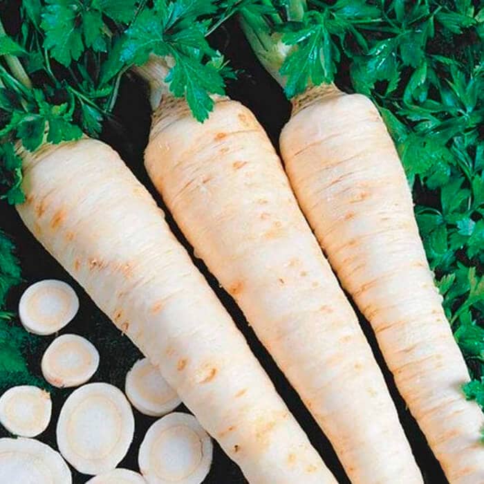 Насіння петрушки «Берлінська»