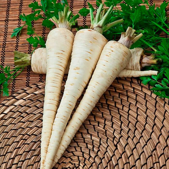 Насіння петрушки «Берлінська»