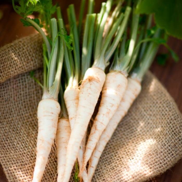 Насіння петрушки «Берлінська»