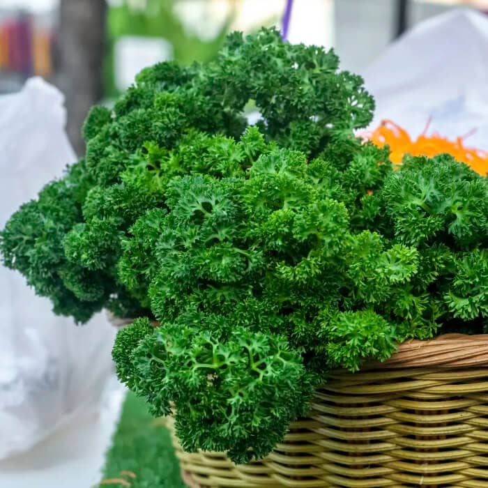 Насіння петрушки «Москраузе»