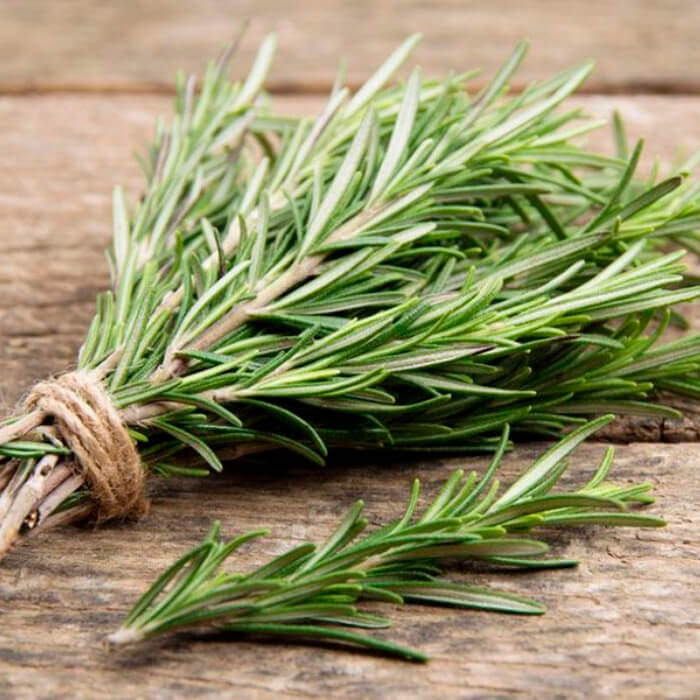 Насіння розмарину «Морська роса»