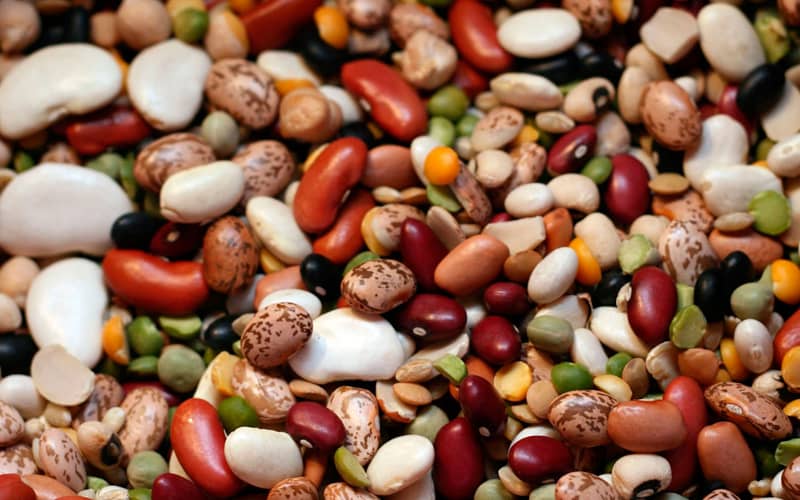 квасоля насіння купити